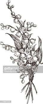 Vector Drawing Of A Bouquet Of Lilies Of The Valley Flower Drawing Bouquet Tattoo Trendy Flowers