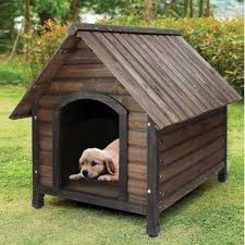 How to insulate a dog house for winter. Pin On Casa De Cachorro