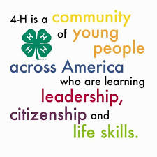 4 H Along With Providing Positive Youth Development 4 H Teaches In 2020 4 H Club 4 H 4 H Clover