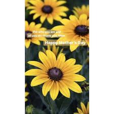 If the humidity is less than 40%, use a spray bottle with a fine mist setting to lightly mist the orchids and their potting medium once per day. Sundae Funday Come Cool Off Summermoon Coffee Bar