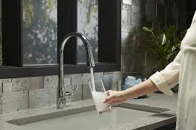 kohler simplice single hole pull down
