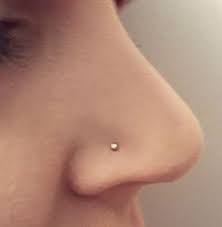 Me Want Wish My Mom Would Let Me Get My Nose Pierced Facial Piercings Cute Nose Rings Cute Piercings