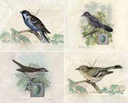 Vintage Bird Prints Printable Ella Claire Co Vintage Birds Bird Prints Bird Printables
