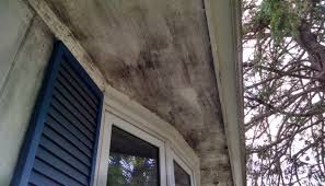 Mold in the attic is a huge problem — they can contain a lot of your ventilation systems and, if left unchecked, can spread mold throughout the there are a lot of areas that are prone to mold growth here, as this tends to be a moist area of the house, so here are a few reminders on where to look Mold On Exterior Of Homes Removal Damage Health Issues