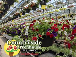There are several amish stores… Countryside Greenhouse Photos Facebook