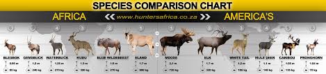 Compare Africa Species To Americas Species Hunting