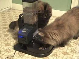 Going on a business trip or a vacation for two days? Best 15 Automatic Cat Feeders Comparison Reviews 2018