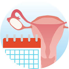 Berhubungan badan di kurun waktu 14 hari setelah hari haid pertama kamu. Kalender Dan Kalkulator Siklus Haid Online Guesehat Com