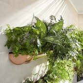 Recycler Vos Gouttieres En Jardinieres Suspendues Une Idee Originale Pour Accueillir Un Peu De Jardiniere Interieur Jardiniere Suspendue Plante Salle De Bain