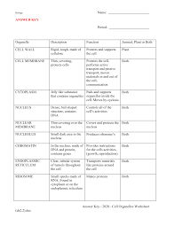 Cell organelles worksheet answered cell organelles. Https Msbernabei Weebly Com Uploads 8 7 7 6 8776151 Answer Key 2020 Cell Organelles Worksheet Ch2 2 Pdf