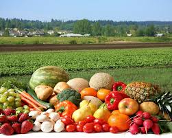 Farmer S Crop Large Variety Of Fresh Fruit And Vegetables Water Droplets Visib Ad Fresh Fruit Veg Fresh Fruits And Vegetables Fresh Fruit Vegetables