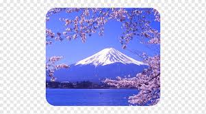 Lake Kawaguchi Mount Fuji Lake Ashi Three Holy Mountains Lake Suwa Mountain Flower Mount Scenery Nature Png Pngwing