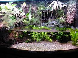 Trever is a professional at this and he is the curator of for the waters edge you want to wrap your screen under then back over your drainage material so it. Moss Terrarium Paludarium Vivarium ä¸Šçš„é‡˜åœ–