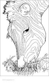 1050x866 launching marty the zebra coloring pages catgames co. Animals Zebra Zebra Coloring Page Zebra Drawing Zebra Coloring Pages Zebra Pictures
