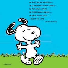 Pin Su Snoopy