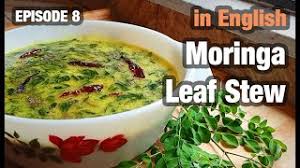 Malunggay (moringa oleifera) is cultivated for food in south asia, southeast asia, africa, the caribbean, latin america, fiji, guam and palau. Moringa Thannicar South Indian Moringa Leaf Stew Youtube