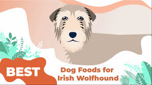 The wolfhound iic is the rebuilt version of grinner, phelan kell's wolfhound battlemech. Best Dog Food For Irish Wolfhounds 2021 Pup Junkies