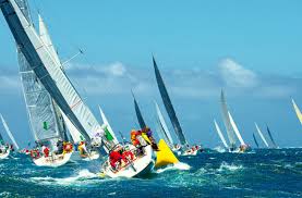 Image result for america's cup 2017