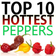 Top 10 Worlds Hottest Peppers 2019 Update New Hottest Pepper