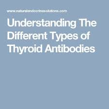 Understanding The Different Types Of Thyroid Antibodies Types Of Thyroid Thyroid Natural Thyroid Treatment
