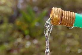 We did not find results for: How To Increase Water Pressure In Garden Hose