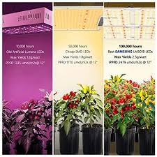 We did not find results for: Spider Farmer Sf 4000 Led Grow Light 5 X5 Coverage Compatible With Samsung Lm301b Diodes Dimmable Commercial Grow Lights For Indoor Plants Full Spectrum 3000k 5000k 660nm 760nm Ir 1212pcs Leds Pricepulse