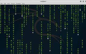 How To Get Matrix Effect Terminal On Kali Linux Linux Matrix Kali