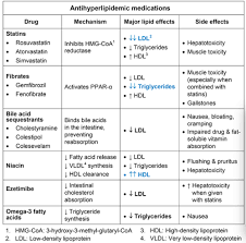 Hmg Coa Reductase Inhibitors Flashcards Quizlet