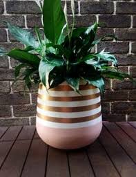 Black And White Striped Flower Pots Hand Painted Lightweight Indoor Plant Pot Blush Pink Gold White Stripes Indoor Plant Pots Painted Plant Pots Flower Pot Design