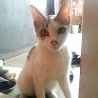 The house keluarga maembong bermain dance mat biar betul. Fifah55 Yahoo Com On Twitter The House Musim 3 Episod 6 Memori Kiah Pekasam Https T Co Mh50ilgxgd Via Youtube