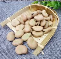 From sowing to harvest, caring for them is easy. South Africa Canned Broad Beans Fava Beans South African Canned Broad Beans Fava Beans Manufacturers Made In South Africa