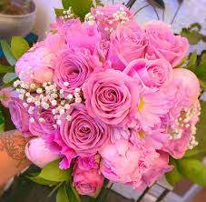 Pin On Floral Gallery