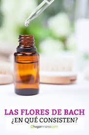 Our music is good for your spirit. Las Flores De Bach En Que Consisten Hogarmania El Acne Aceites Naturales Acne