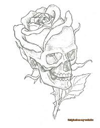 Drawing Art Tumblr Simple Skulls And Roses Drawings Artdrawings Artdrawingsbeautiful Artdrawingsdark Artdr Skull Art Roses Drawing Art Drawings Sketches