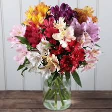 Birthday, roses, wedding product id: Fresh Peruvian Lilies Alstroemeria Amazon Flowers Proms Weddings