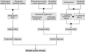 Multiple System Atrophy An Oligodendroglioneural Synucleinopathy Ios Press