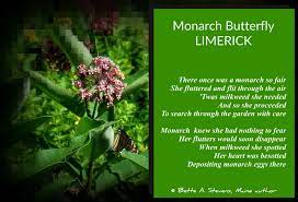 Write A Summer Limerick Get The Kids Writing Too Kids Writing Writing Limericks Cool Writing