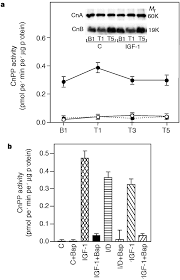 Testing and 2 3 8 6 8 and l6e9 l6e9 biomolecules free full text differentiation of murine c2c12 myoblasts strongly reduces the effects of myostatin on intracellular signaling by rowena ebert 21 feb, 2021 post a comment home » unlabelled » testing and 2*3*8=6*8 and swxd=swxd. Testing And 2 3 8 6 8 And L6e9 L6e9 Testing And 2 3 8 6 8 And L6e9 L6e9 And 2 3 8 6 8 A Representative Traces Of Na Currents Otodari