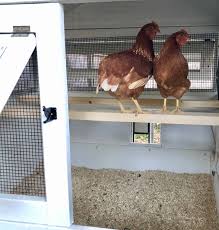 chicken coop plans pdf walk in chicken run the houston etsy chicken coop plans chicken coop walk in chicken run