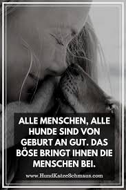 Das ist der grundunterschied zwischen hund und mensch. 35 Coole Hunde Spruche Hunde Zitate Ideen Hund Zitat Hundespruche Hunde