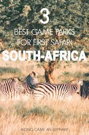 The 3 Best South African Game Parks For Your First Safari South Africa Travel Africa Vacation Visit South Africa