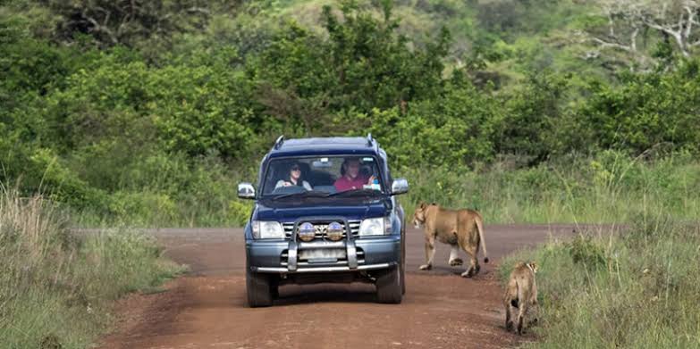 Akagera National Park Car Rental Rwanda | Kigali Car Rentals.