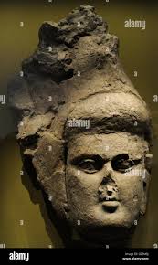 Kala head hi-res stock photography and images