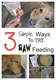 Doc Knows Best Dr Harvey S Dog Food Review Dog Food Reviews Dog Food Recipes Best Dog Food