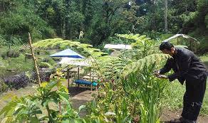 Coban siuk buka jam brapa : Coban Siuk Buka Jam Brapa Masuki Era Transisi New Normal Wisata Coban Jahe Siapkan Protokol Kesehatan Malangtimes Ariel My Daily