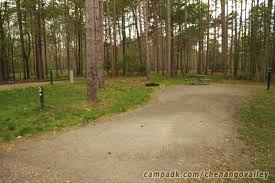 United states of america, state of new york, broome county. Chenango Valley State Park Campsite Photos Site 95