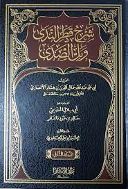 الأميرة الصغيرة التي أفلس زواجها مصر. Ø´Ø±Ø­ Ù‚Ø·Ø± Ø§Ù„Ù†Ø¯Ù‰ ÙˆØ¨Ù„ Ø§Ù„ØµØ¯Ù‰ Ø§Ù„Ù…Ø¬Ù„Ø¯ Ø§Ù„Ø«Ø§Ù†ÙŠ By Ø§Ù„Ø¥Ù…Ø§Ù… Ø¬Ù…Ø§Ù„ Ø§Ù„Ø¯ÙŠÙ† Ø§Ø¨Ù† Ù‡Ø´Ø§Ù… Ø§Ù„Ø£Ù†ØµØ§Ø±ÙŠ