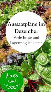 10 Tipps Fur Das Perfekte Hochbeet Plantura In 2020 Ernte Aussaat Kalender Gartenarbeit Fur Anfanger
