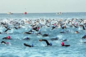 Balaton átúszás résztvevői úsznak az 5,2 kilométeres távon balatonboglár felé. Vasarnap Balaton Atuszas A Hirek Foutcaja