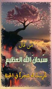 pin on صور إسلامية بطاقات إسلامية islamic quotes